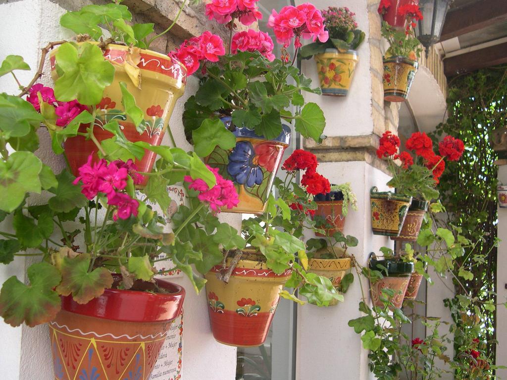 Hotel Cortijo Los Gallos Chiclana de la Frontera Dış mekan fotoğraf
