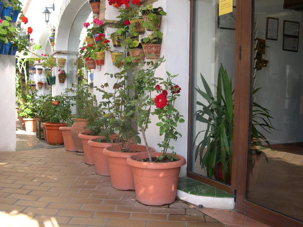 Hotel Cortijo Los Gallos Chiclana de la Frontera Dış mekan fotoğraf
